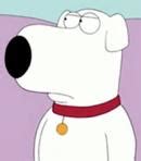 who is the voice of brian griffin|More.